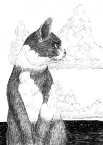 bandicam 2015-07-29 17-59-47-628